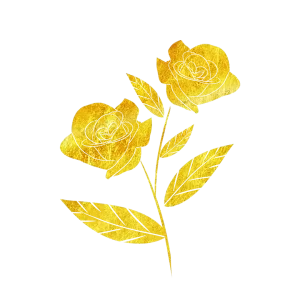 ‘我把最值钱的东西，都花在哪了？’的缩略图